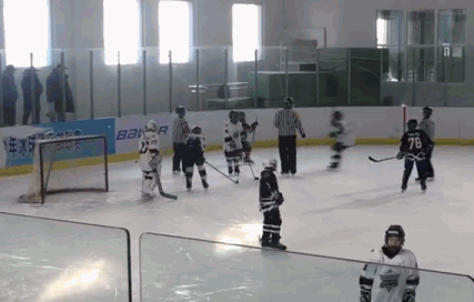调查│家长打裁判赛后又动粗，青少年冰球联赛为何滋生暴力