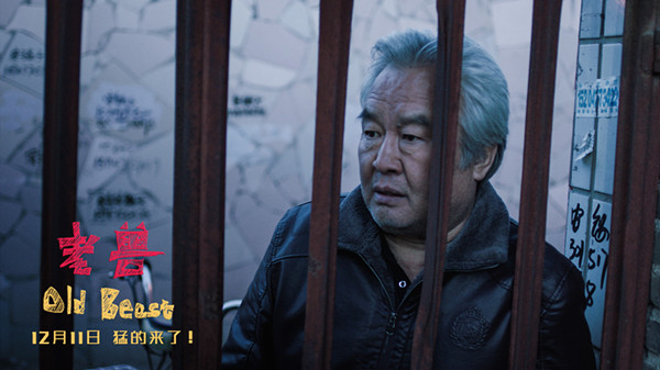 老兽不会在夕阳下奔跑，也顾不上怀念逝去的青春