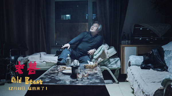 老兽不会在夕阳下奔跑，也顾不上怀念逝去的青春