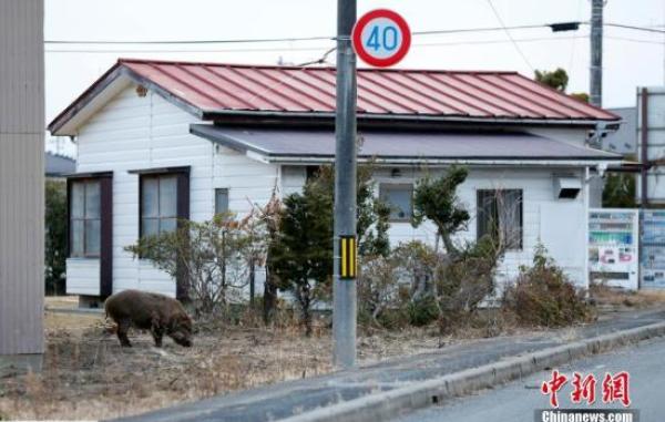 日本政府敲定消除福岛核事故形象受损战略，包括宣传食品安全