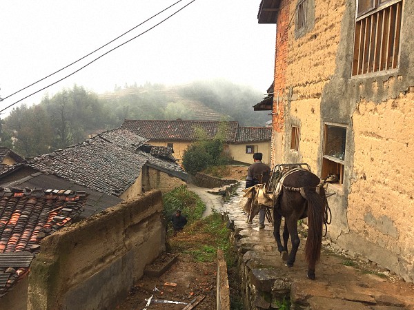 新式农村 | 设计改造乡村，松阳的探索之路