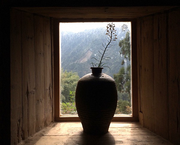 新式农村 | 设计改造乡村，松阳的探索之路