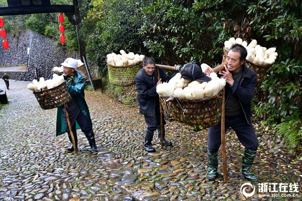 新式农村 | 设计改造乡村，松阳的探索之路