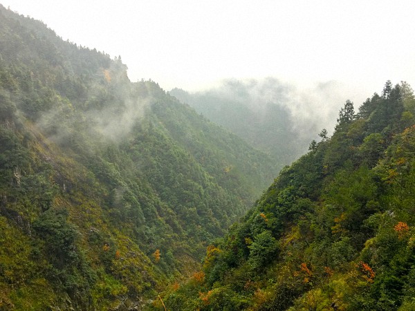新式农村 | 设计改造乡村，松阳的探索之路