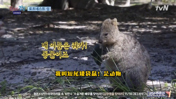 《花样青春》第四季为什么还那么好看