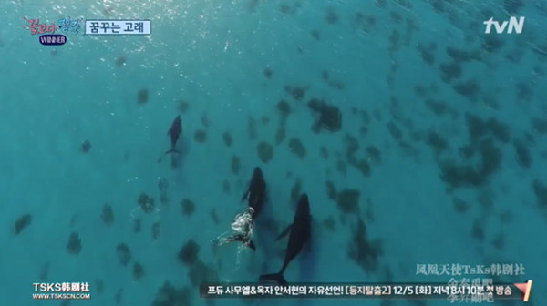 《花样青春》第四季为什么还那么好看