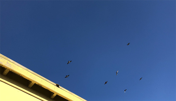 探访贾跃亭美国造车工厂：没有任何生产设备，仅一名员工打卡