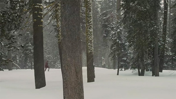 睡不着｜爱情的极致