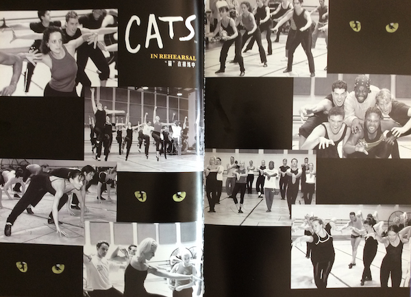 专栏| 音乐剧《猫》来了，你准备好怎样带孩子观剧了吗