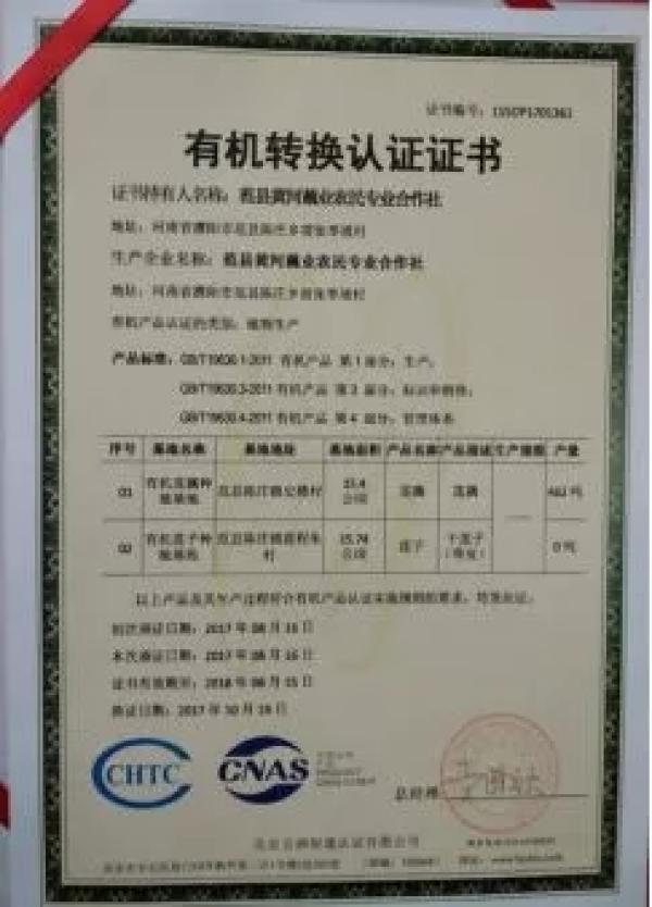 实地探访“莲藕滞销”迷雾：莲藕烂在地里，是滞销还是营销？