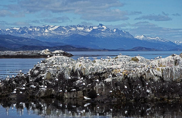 在通向南极的“世界尽头”，依然有浮生欢乐