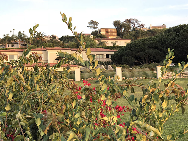 贾跃亭美国印记：5套洛杉矶豪宅在升值，有FF员工说他伟大