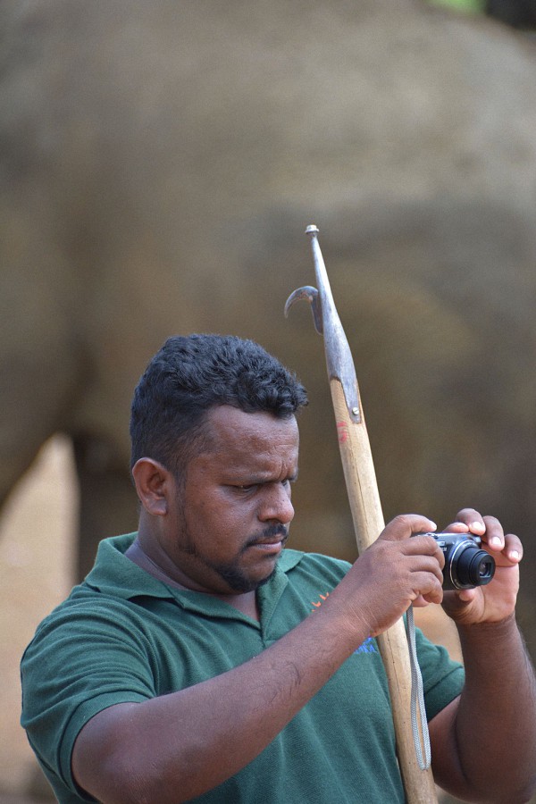 你的旅行，不要成为他们施虐的借口