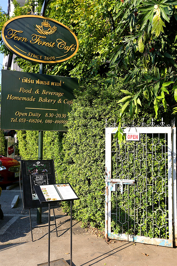 如何在清迈喝到一杯本地咖啡？