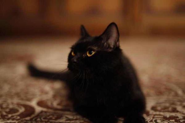 专访｜张榕容：混血容易让别人记住，但也因此丢了很多角色