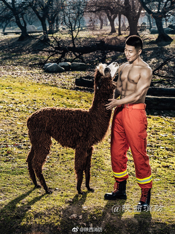 震撼！中国消防员台历发布，他们才是真正肌肉男神