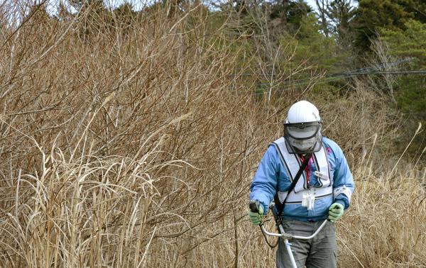 日本立宪民主党拟提交零核电法案，对抗安倍政权