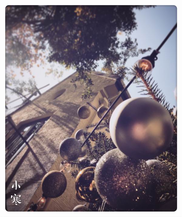 视频｜小寒：红烧羊肉山楂酒，淡淡冬阳岁又初