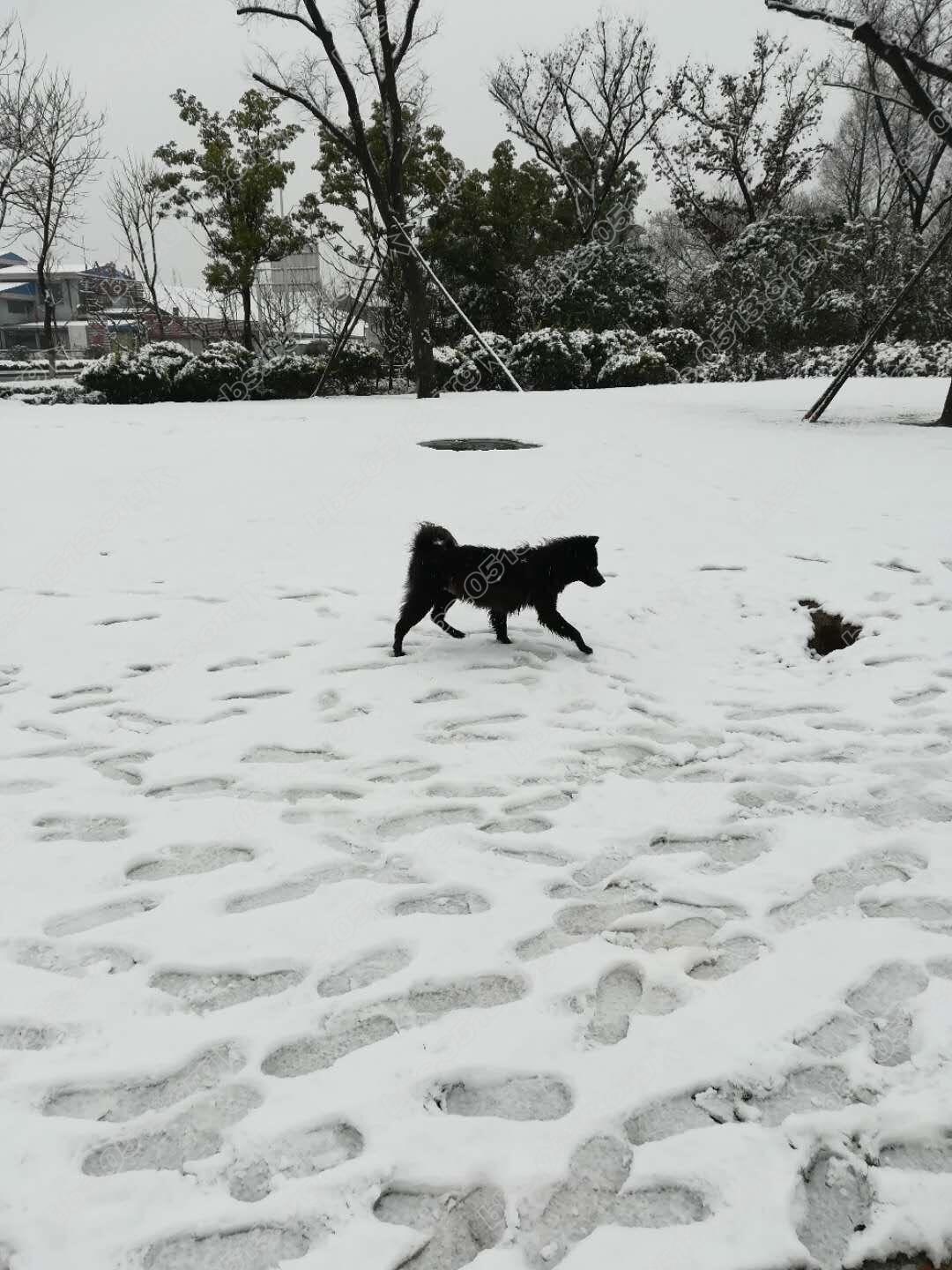 9新华路 雪地玩耍.jpg