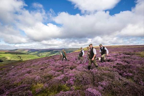 打鸟、追鹿和烧烤——英国人如何度过他们最爱的狩猎季