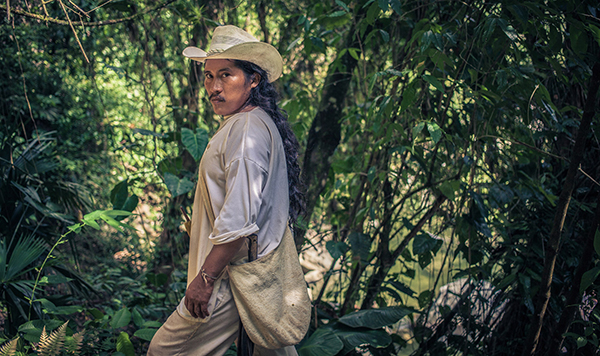 徒步特犹纳，哥伦比亚的失落之城
