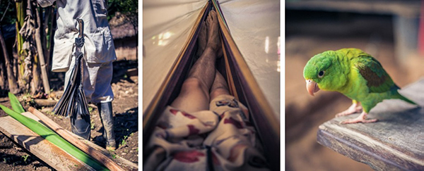 徒步特犹纳，哥伦比亚的失落之城