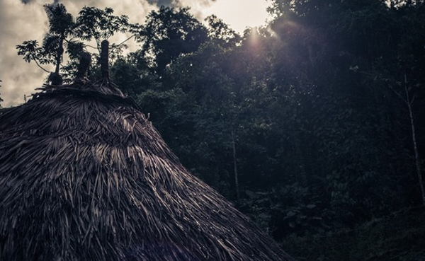 徒步特犹纳，哥伦比亚的失落之城