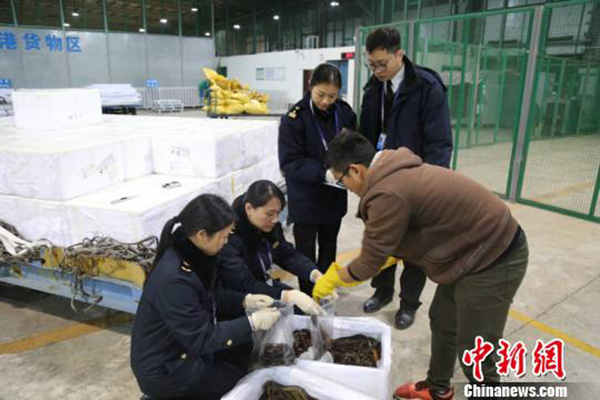 孟加拉国达卡至南宁货运航线复航，印度洋海鲜“游”上餐桌