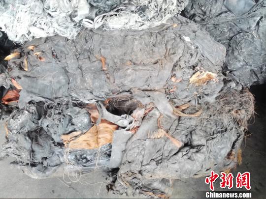 南京海关去年依法退运固体废物2万余吨，其中刑事案件7起