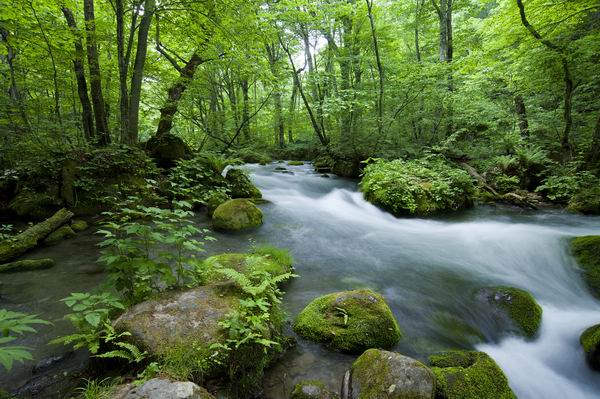 日本东北六县的美景和美食清单