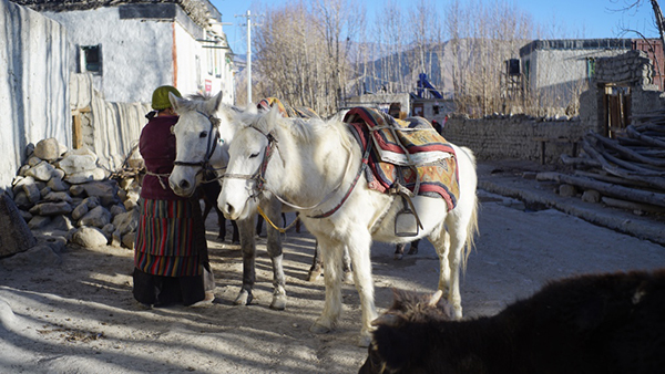 图片故事 | 尼泊尔有个木斯塘
