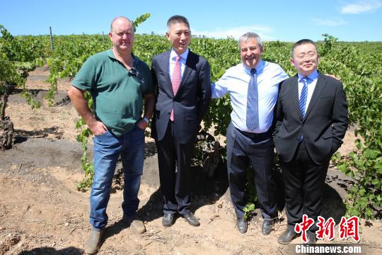 1亿元收购歌浓酒庄，张裕称其世界版图需要这样顶尖的酒庄