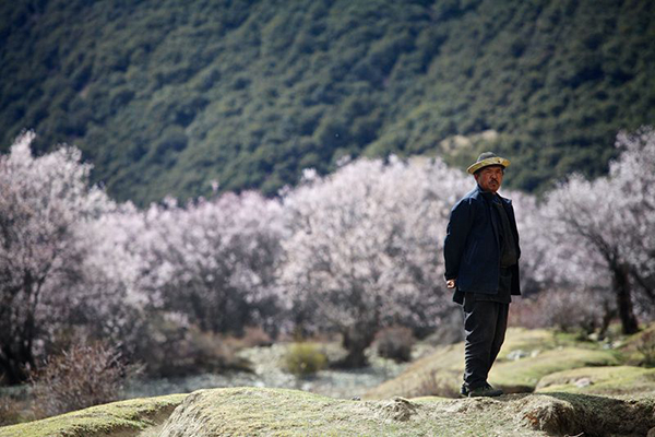 魔国、村长与湖神，寻谜措高村