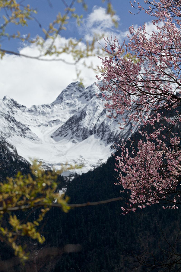 魔国、村长与湖神，寻谜措高村