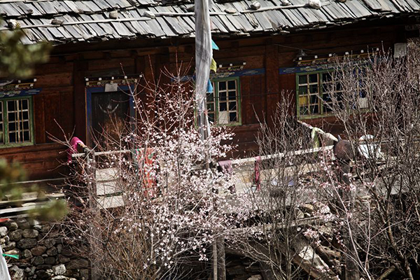 魔国、村长与湖神，寻谜措高村