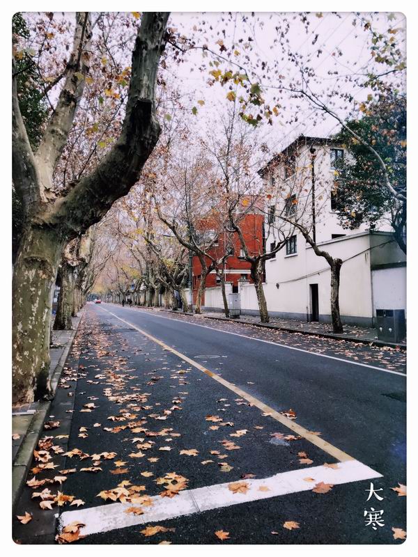 视频｜大寒：一碗腊八粥，岁有大寒知