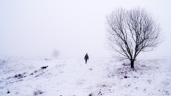 大寒养生：寒气之逆极，食苦养心气