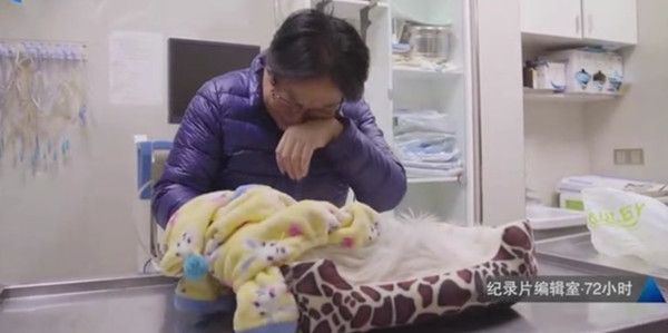 《72小时》“宠物医院”热播，制片人郭静：生活本身有力量