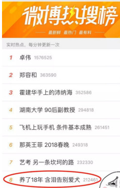 《72小时》“宠物医院”热播，制片人郭静：生活本身有力量