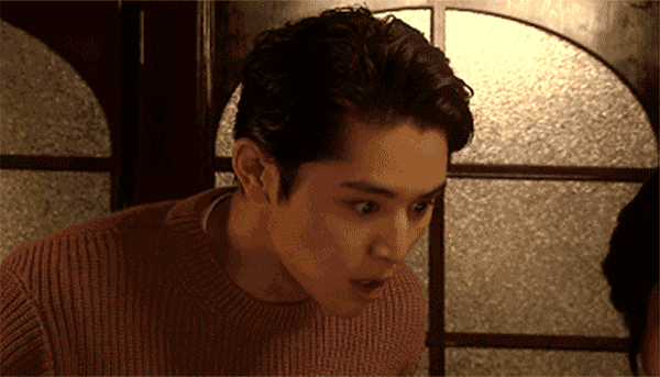 《隐匿于冬》除了可以用一年的表情包外，一无是处