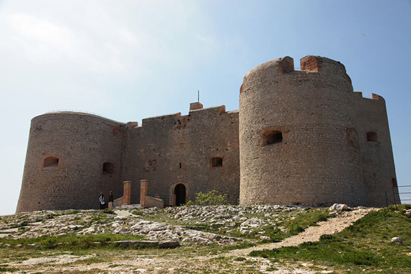 从马赛到戛纳，活得像一部电影