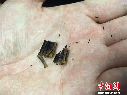 宁波破获中国首例部督特大新型卷烟非法经营案，涉案金额上亿