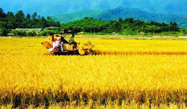 6省1市财力在“供养全国”？靠财政衡量对国家贡献不准确