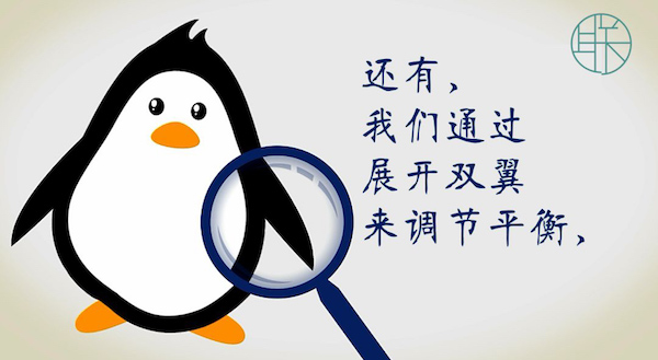 漫画｜冰雪天向企鹅学走路：膝微曲，手臂伸，外八字