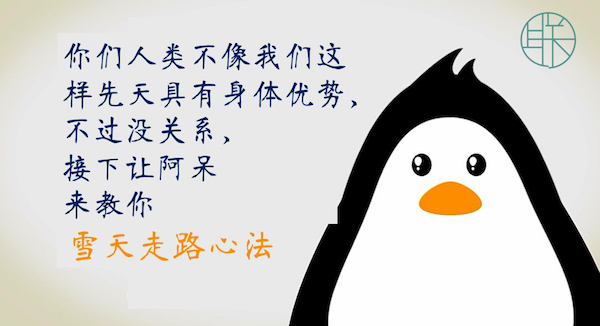 漫画｜冰雪天向企鹅学走路：膝微曲，手臂伸，外八字