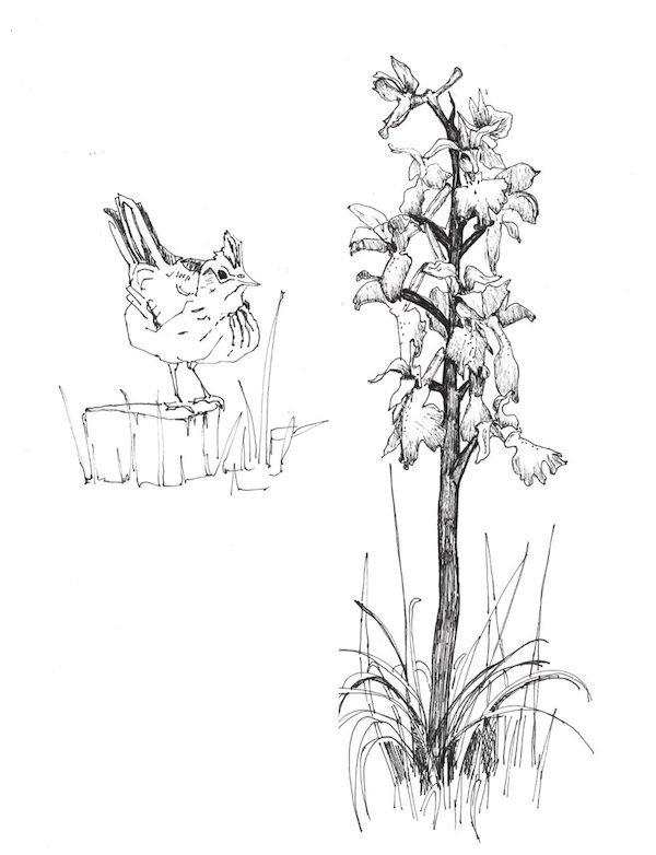 爱德华·斯坦福旅行写作奖 | 喜欢冒险的你不能错过