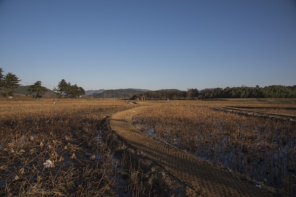 庆州，散步在没有围墙的博物馆