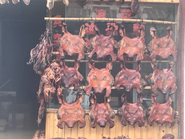 从凉粉到豆花，成都的巴适一日