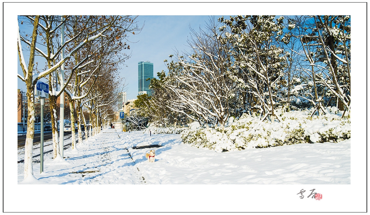雪后11.jpg