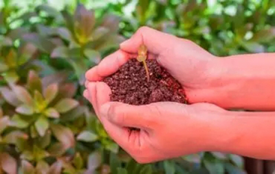 两高和司法部同时发布涉产权典型案例：铁腕保护财富安全感